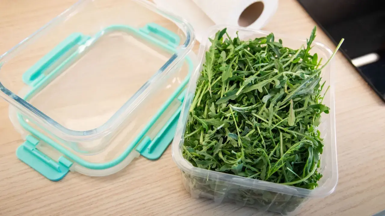 Frischer Rucola Salat in einer Plastikschale, bereit für die Aufbewahrung in einem Glasbehälter.