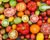 Vielfalt an Tomaten: rot, grün, gelb, orange. Welche Tomaten schmecken am besten? Hier ist eine bunte Auswahl zum Probieren.