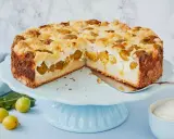 Saftiger Mirabellenkuchen mit Streuseln und einer cremigen Füllung, bereit zum Servieren.