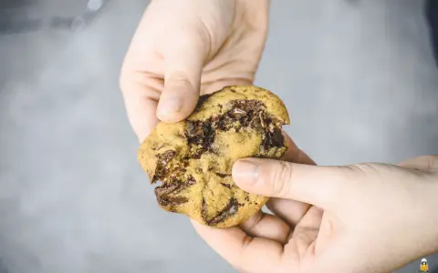 Hände halten einen weichen Chocolate Chip Cookie, der gerade zerbrochen wurde. Das Innere ist voller geschmolzener Schokolade. Ein perfektes Cookies Rezept weich.