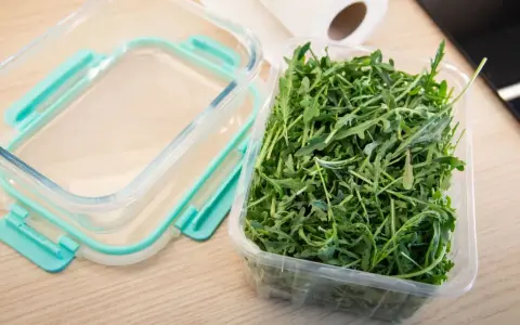Frischer Rucola Salat in einer Plastikschale, bereit für die Aufbewahrung in einem Glasbehälter.