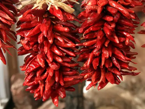 Zwei Stränge getrockneter, leuchtend roter Peperoncini hängen nebeneinander. Diese scharfen Chilischoten, auch Peperoncino genannt, sind ein Muss für Liebhaber würziger Gerichte.