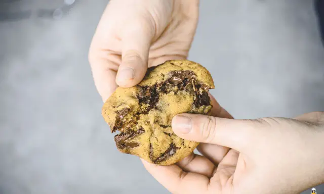 Hände halten einen weichen Chocolate Chip Cookie, der gerade zerbrochen wurde. Das Innere ist voller geschmolzener Schokolade. Ein perfektes Cookies Rezept weich.