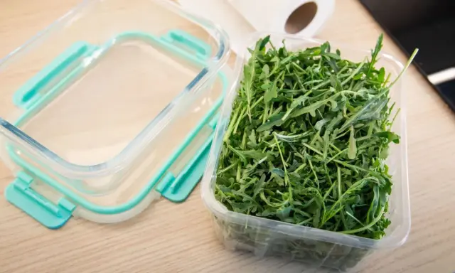 Frischer Rucola Salat in einer Plastikschale, bereit für die Aufbewahrung in einem Glasbehälter.